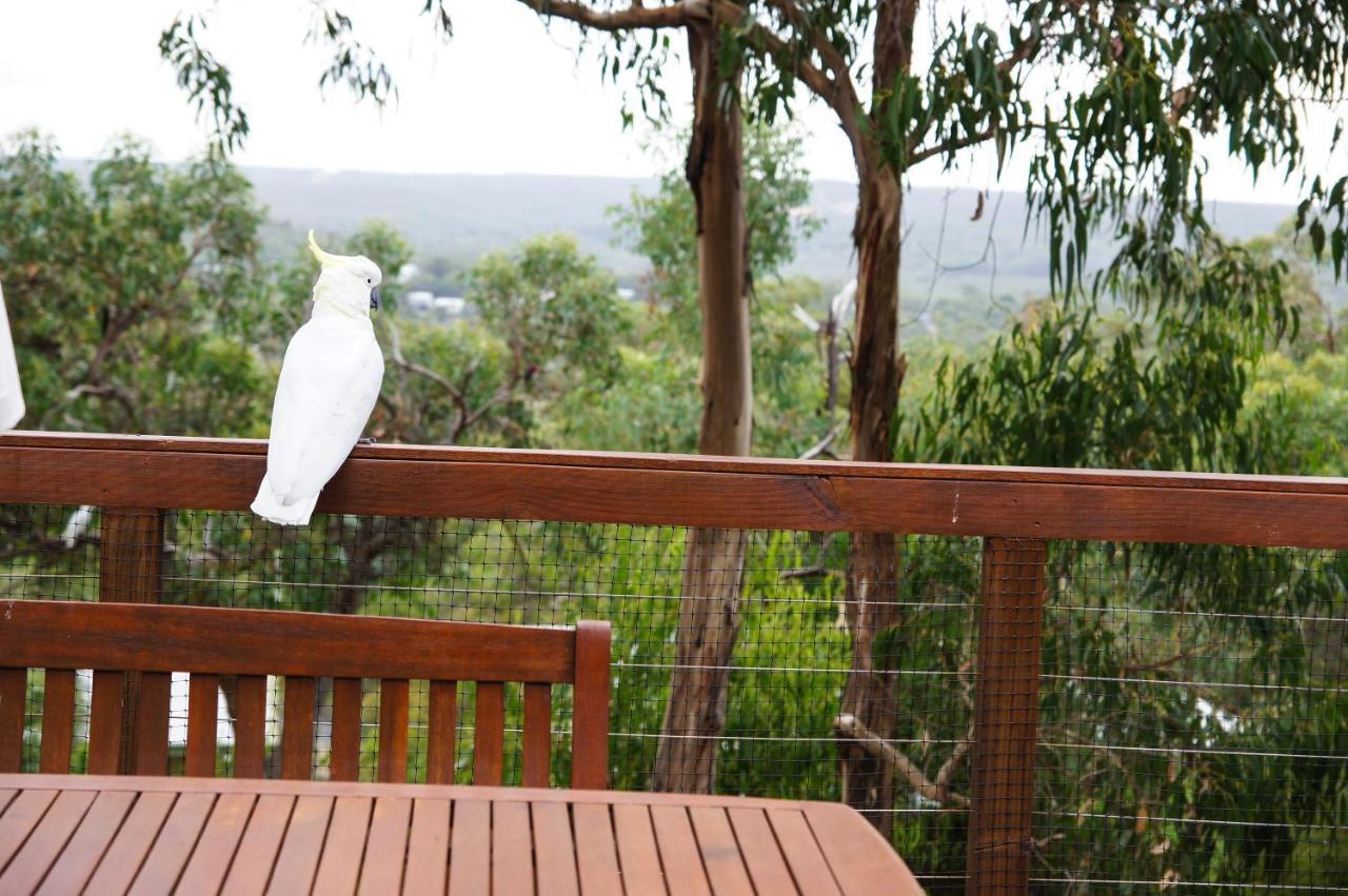 Tree Top Getaway Anglesea Ngoại thất bức ảnh